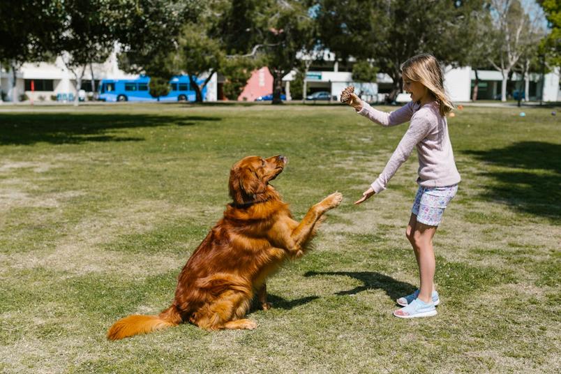 Successful tips for potty training