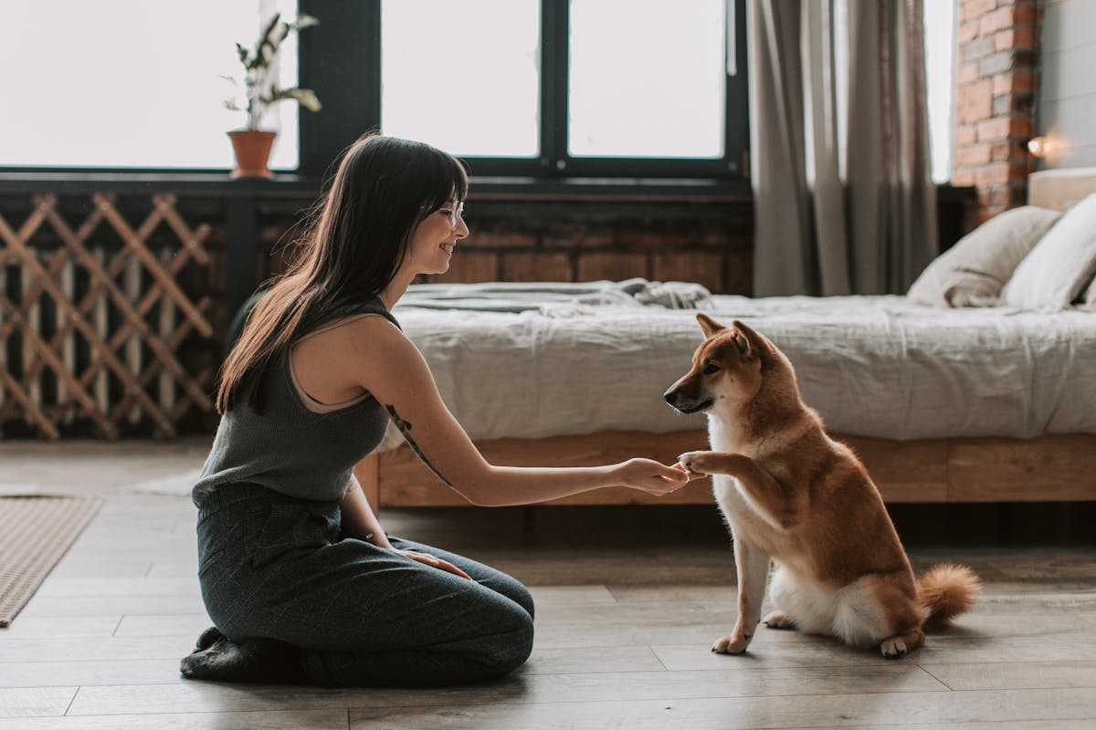 quiet dog breeds