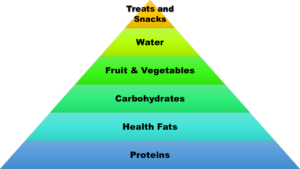 dog food pyramid