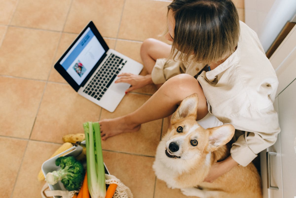 Vegetables for Dogs: 7 Health Benefits Every Owner Should Know