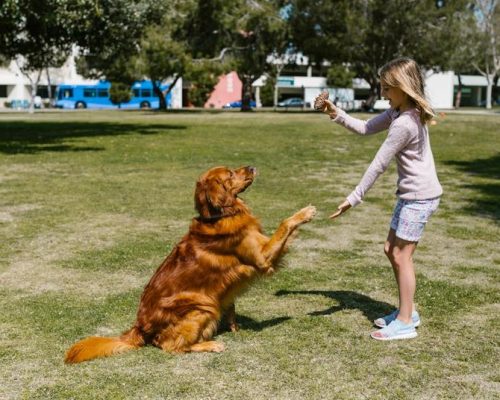 Successful tips for potty training