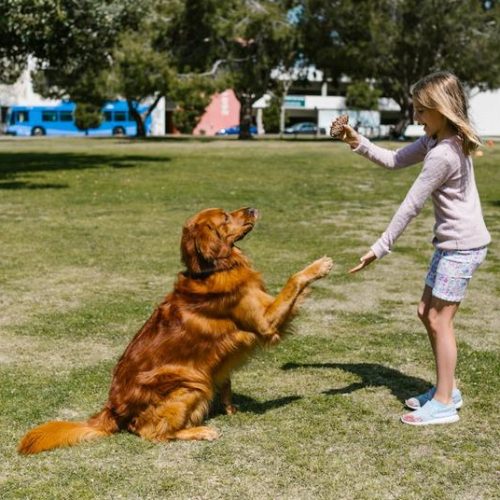 Successful tips for potty training