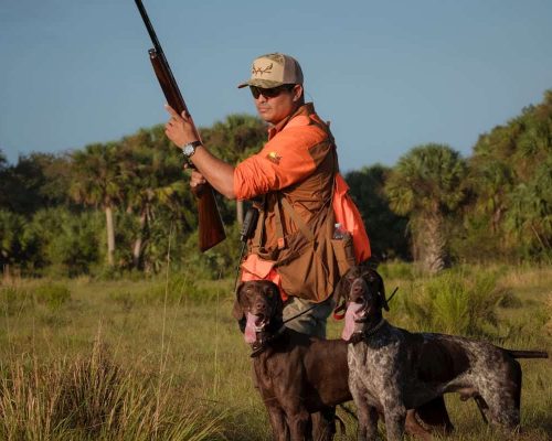 The 10 Best Hunting Dogs, Ranked