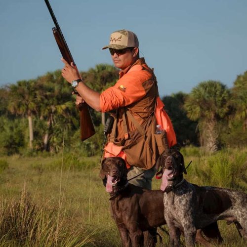 The 10 Best Hunting Dogs, Ranked