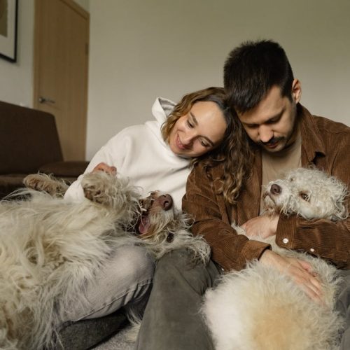 Are Dogs Sexually Attracted to Humans? Everything You Want to Know